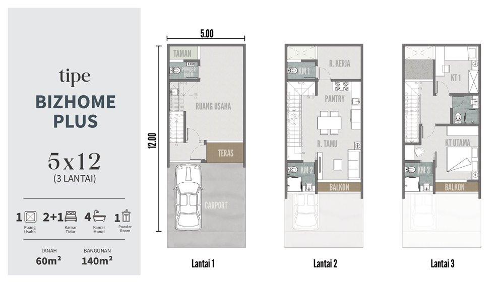 bizzhome pasadena 1