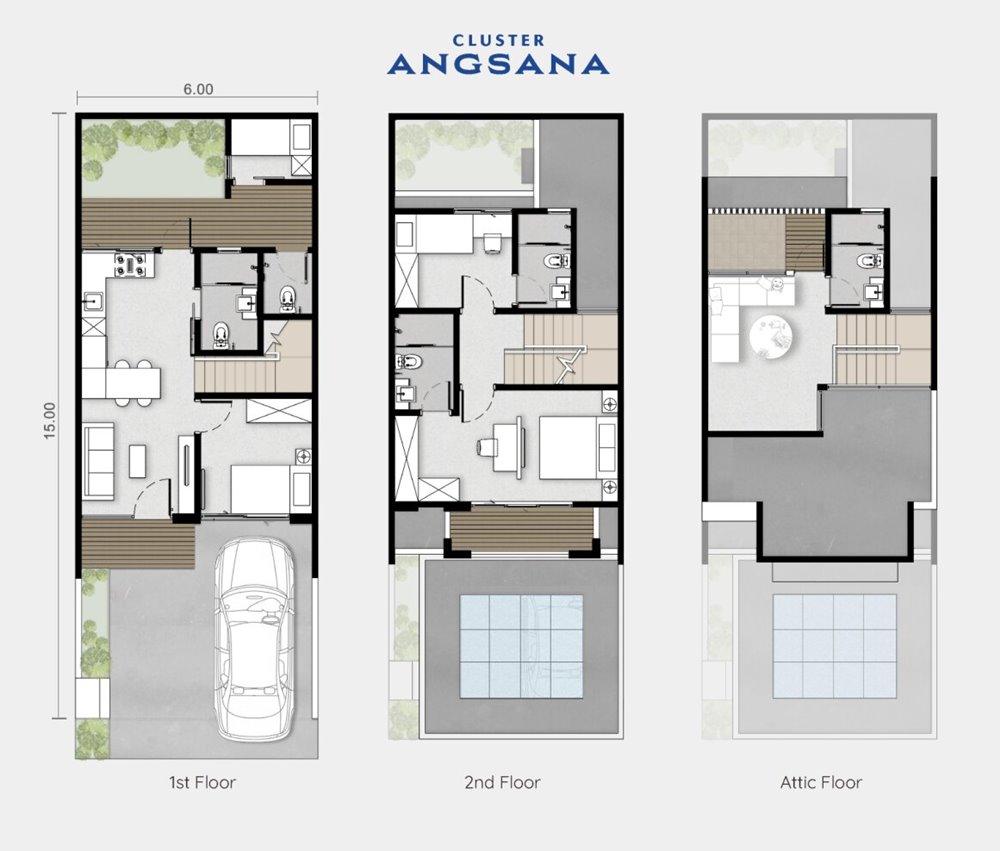cluster angsana tipe celia